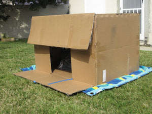 Fort Building Kit